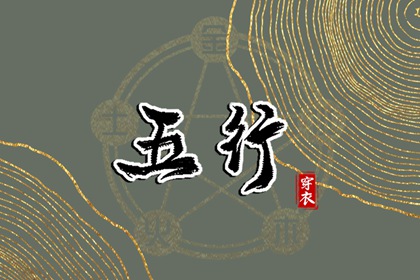 详细命盘解析,命盘免费测算,专业命盘解析,紫微流年排盘免费,紫薇星斗数命盘,看紫薇命盘